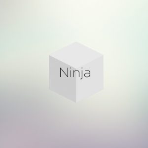 ninja-plan